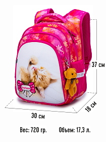 Ортопедичний рюкзак у школу для дівчинки рожевий з Котиком Winner /SkyName 37х30х18 см для 1-4 класу (R2-184) Ортопедичний рюкзак у школу для дівчинки рожевий з Котиком Winner /SkyName 37х30х18 см для 1-4 класу (R2-184)